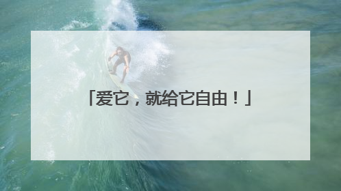 爱它，就给它自由！