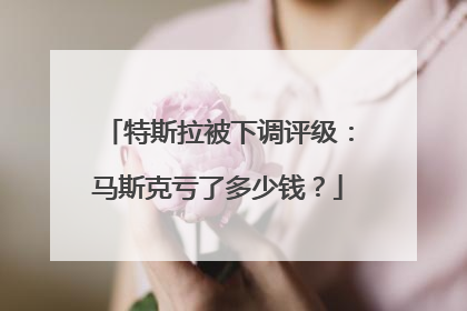 特斯拉被下调评级：马斯克亏了多少钱？
