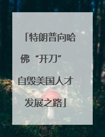 特朗普向哈佛“开刀” 自毁美国人才发展之路