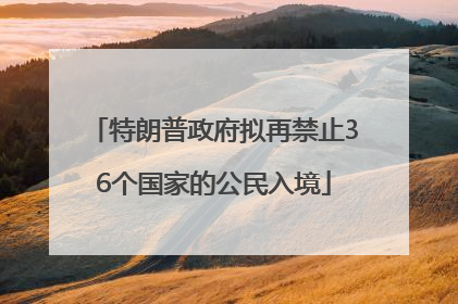特朗普政府拟再禁止36个国家的公民入境