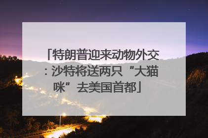 特朗普迎来动物外交：沙特将送两只“大猫咪”去美国首都