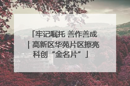 牢记嘱托 善作善成｜高新区华苑片区擦亮科创“金名片”