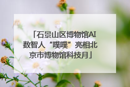 石景山区博物馆AI数智人“噗噗”亮相北京市博物馆科技月