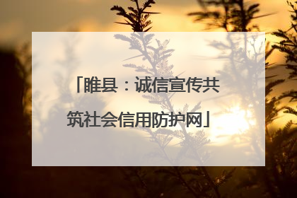 睢县：诚信宣传共筑社会信用防护网