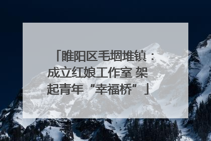睢阳区毛堌堆镇：成立红娘工作室 架起青年“幸福桥”