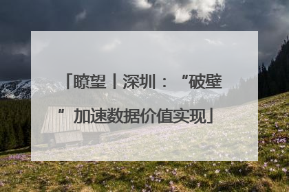 瞭望丨深圳：“破壁”加速数据价值实现