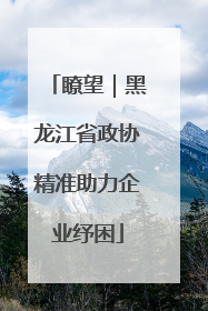 瞭望｜黑龙江省政协精准助力企业纾困