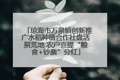 琼海市万泉镇创新推广水稻种植合作社盘活撂荒地 农户喜提“粮食+钞票”分红