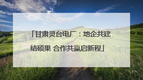 甘肃灵台电厂：地企共建结硕果 合作共赢启新程
