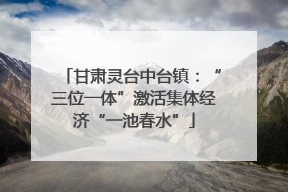 甘肃灵台中台镇：“三位一体”激活集体经济“一池春水”
