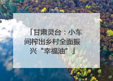 甘肃灵台：小车间榨出乡村全面振兴“幸福油”