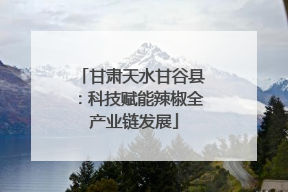 甘肃天水甘谷县：科技赋能辣椒全产业链发展