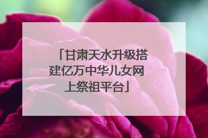 甘肃天水升级搭建亿万中华儿女网上祭祖平台