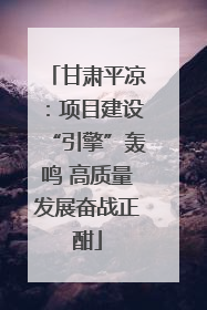 甘肃平凉：项目建设“引擎”轰鸣 高质量发展奋战正酣