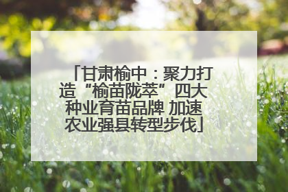 甘肃榆中：聚力打造“榆苗陇萃”四大种业育苗品牌 加速农业强县转型步伐