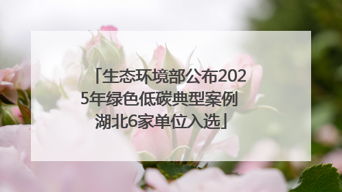 生态环境部公布2025年绿色低碳典型案例 湖北6家单位入选