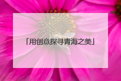用创意探寻青海之美