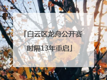 白云区龙舟公开赛时隔13年重启