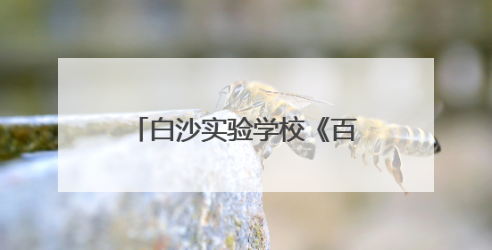 白沙实验学校《百分数（二）》分层作业点亮生活智慧