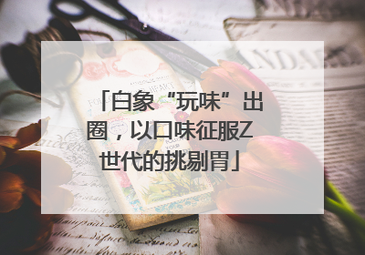 白象“玩味”出圈，以口味征服Z世代的挑剔胃