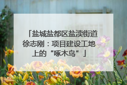 盐城盐都区盐渎街道徐志刚：项目建设工地上的“啄木鸟”