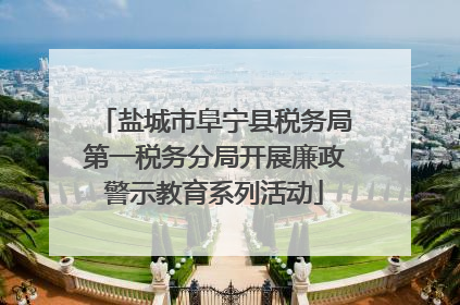 盐城市阜宁县税务局第一税务分局开展廉政警示教育系列活动