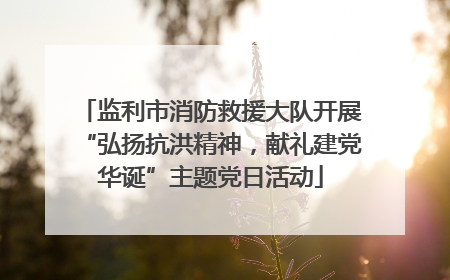 监利市消防救援大队开展“弘扬抗洪精神，献礼建党华诞”主题党日活动