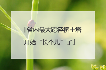 省内最大跨径桥主塔开始“长个儿”了