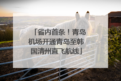 省内首条！青岛机场开通青岛至韩国清州直飞航线