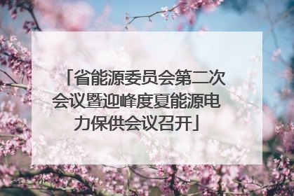 省能源委员会第二次会议暨迎峰度夏能源电力保供会议召开