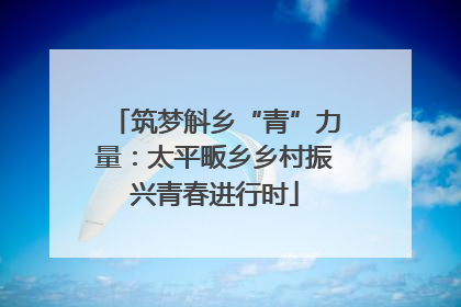 筑梦斛乡“青”力量：太平畈乡乡村振兴青春进行时