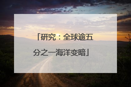 研究：全球逾五分之一海洋变暗