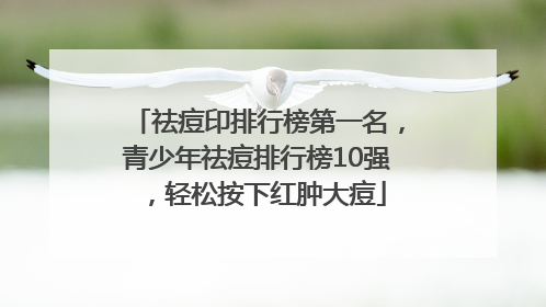 祛痘印排行榜第一名，青少年祛痘排行榜10强，轻松按下红肿大痘