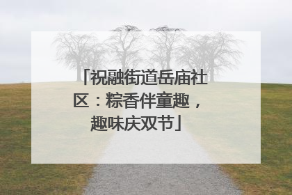 祝融街道岳庙社区：粽香伴童趣，趣味庆双节