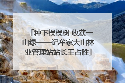 种下棵棵树 收获一山绿——记牟家大山林业管理站站长王占胜