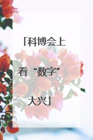 科博会上看“数字”大兴