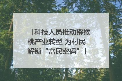 科技人员推动猕猴桃产业转型 为村民解锁“富民密码”