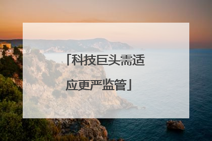 科技巨头需适应更严监管