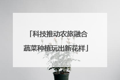 科技推动农旅融合 蔬菜种植玩出新花样