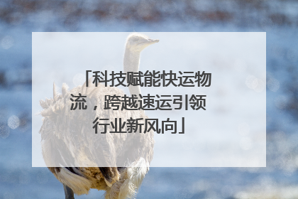 科技赋能快运物流，跨越速运引领行业新风向