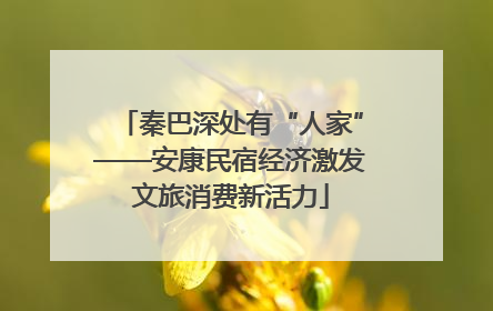 秦巴深处有“人家”——安康民宿经济激发文旅消费新活力