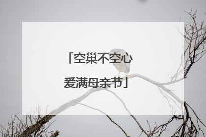 空巢不空心 爱满母亲节