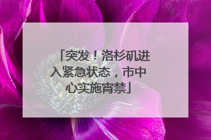 突发！洛杉矶进入紧急状态，市中心实施宵禁
