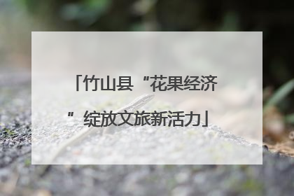 竹山县“花果经济”绽放文旅新活力