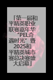 第一届和平精英职业联赛嘉年华“PEL奇遇时光”暨2025和平精英城市赛总决赛盛大启幕