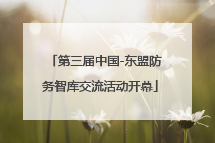 第三届中国-东盟防务智库交流活动开幕