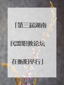 第三届湖南民盟职教论坛在衡阳举行
