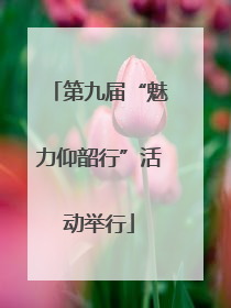 第九届“魅力仰韶行”活动举行