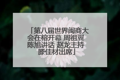 第八届世界闽商大会在榕开幕 周祖翼陈旭讲话 赵龙主持 滕佳材出席