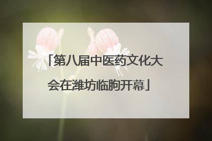 第八届中医药文化大会在潍坊临朐开幕
